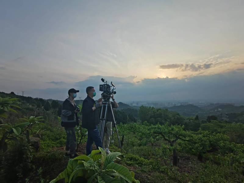 创意破圈！揭阳电商产品宣传视频用故事化叙事引爆流量