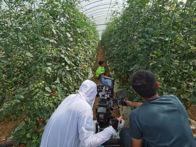 揭阳产品宣传视频拍摄公司进阶指南，助力品牌抢占传播高地